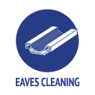 Eavestrough and Gutter Cleaning